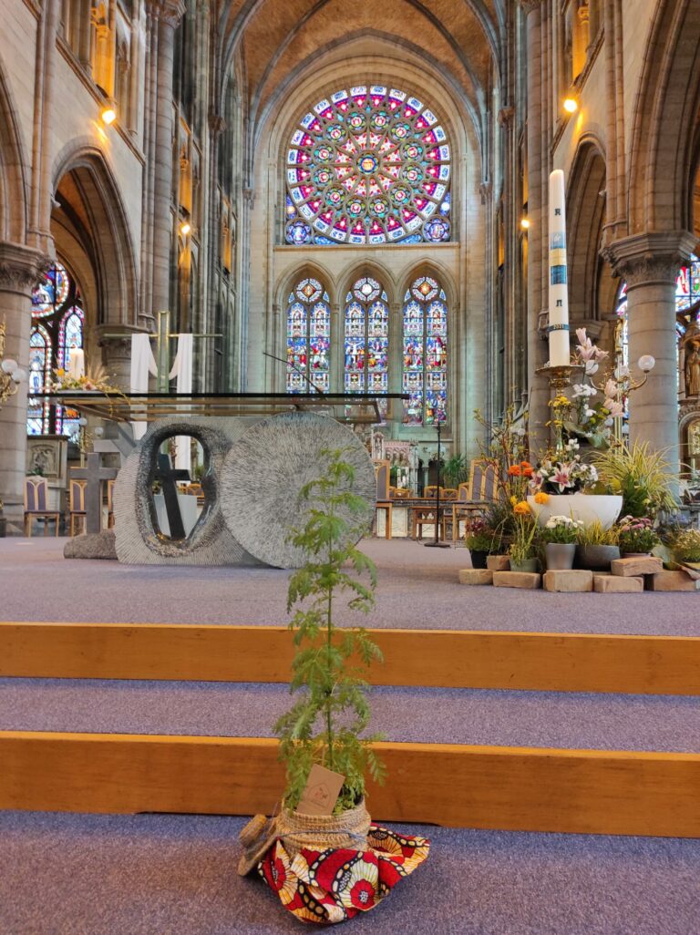 Prof. Guy Mergeai passed away on 4 May 2021 La Maison de l'Artemisia