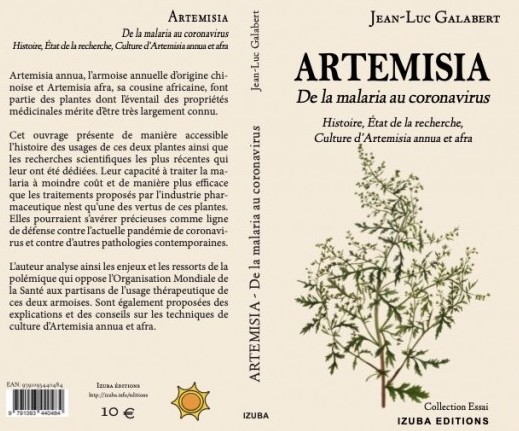 Artemisia annua - La Maison de l'Artemisia - This plant can save millions  of lives