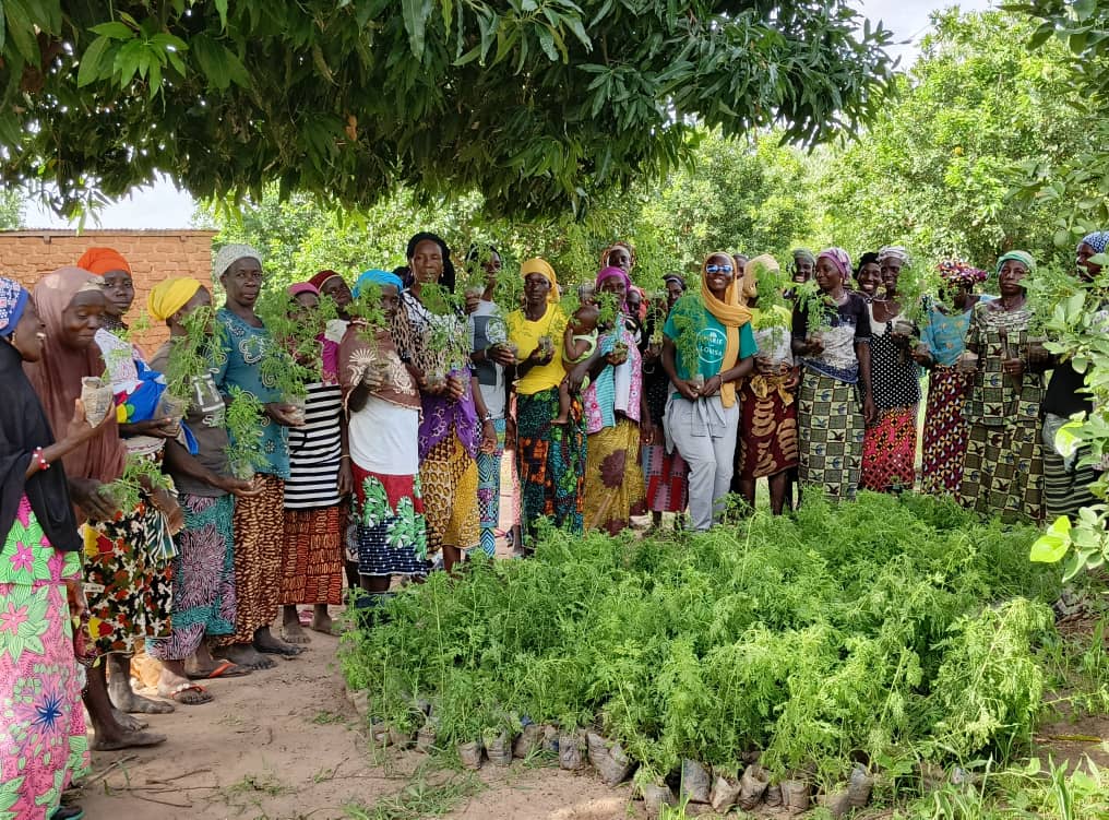 femmes lutte paludisme